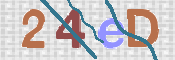 画像に表示された文字を入力して下さい