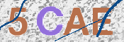 画像に表示された文字を入力して下さい