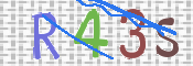 画像に表示された文字を入力して下さい