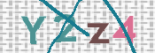 画像に表示された文字を入力して下さい