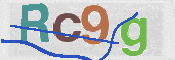 画像に表示された文字を入力して下さい