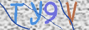 画像に表示された文字を入力して下さい