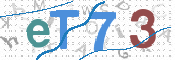 画像に表示された文字を入力して下さい