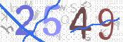 画像に表示された文字を入力して下さい