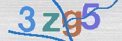 画像に表示された文字を入力して下さい