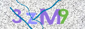 画像に表示された文字を入力して下さい