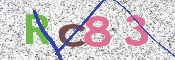 画像に表示された文字を入力して下さい