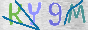 画像に表示された文字を入力して下さい