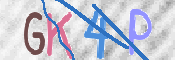 画像に表示された文字を入力して下さい