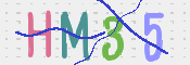 画像に表示された文字を入力して下さい