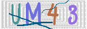 画像に表示された文字を入力して下さい