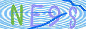 画像に表示された文字を入力して下さい