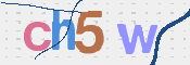 画像に表示された文字を入力して下さい