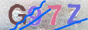 画像に表示された文字を入力して下さい