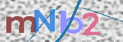 画像に表示された文字を入力して下さい