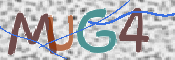 画像に表示された文字を入力して下さい