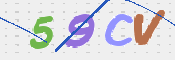 画像に表示された文字を入力して下さい