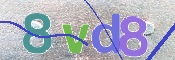 画像に表示された文字を入力して下さい