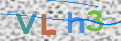 画像に表示された文字を入力して下さい