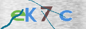 画像に表示された文字を入力して下さい