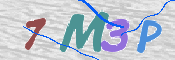 画像に表示された文字を入力して下さい