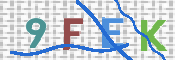 画像に表示された文字を入力して下さい