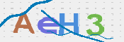 画像に表示された文字を入力して下さい