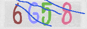 画像に表示された文字を入力して下さい