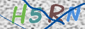 画像に表示された文字を入力して下さい