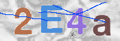 画像に表示された文字を入力して下さい