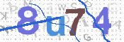 画像に表示された文字を入力して下さい