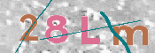 画像に表示された文字を入力して下さい
