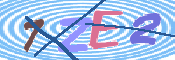 画像に表示された文字を入力して下さい