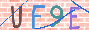 画像に表示された文字を入力して下さい