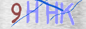 画像に表示された文字を入力して下さい