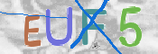 画像に表示された文字を入力して下さい