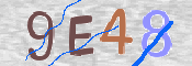 画像に表示された文字を入力して下さい