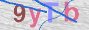 画像に表示された文字を入力して下さい