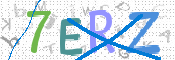 画像に表示された文字を入力して下さい