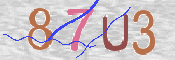 画像に表示された文字を入力して下さい