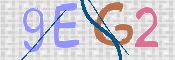 画像に表示された文字を入力して下さい