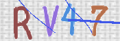 画像に表示された文字を入力して下さい