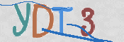 画像に表示された文字を入力して下さい