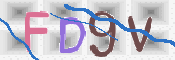 画像に表示された文字を入力して下さい