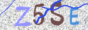 画像に表示された文字を入力して下さい