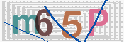 画像に表示された文字を入力して下さい
