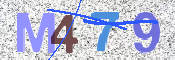 画像に表示された文字を入力して下さい