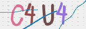画像に表示された文字を入力して下さい