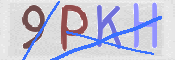 画像に表示された文字を入力して下さい