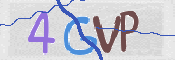 画像に表示された文字を入力して下さい